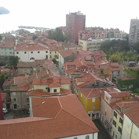 Square View - Near Lejlighed Koper